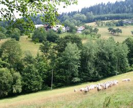 ASZ ČR: Co jsme prosazovali a proč? (DÍL 2.)