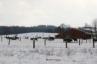 Živočišná výroba a brambory aneb Region, který boří celostátní průměry  