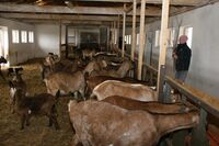Živočišná výroba a brambory aneb Region, který boří celostátní průměry  
