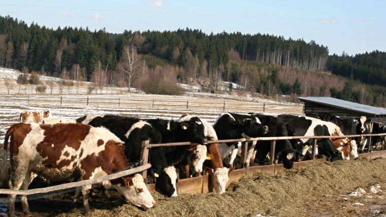 Živočišná výroba a brambory aneb Region, který boří celostátní průměry  