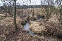 Živočišná výroba a brambory aneb Region, který boří celostátní průměry  
