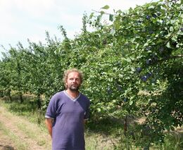 Dotace jsou pro velké farmy. Inovaci jsem si zařídil sám, říká ovocnář z Ostroměře