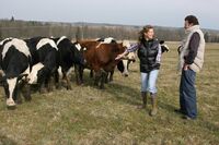ASZ Písek – Živočišná výroba a prodej ze dvora na vzestupu    