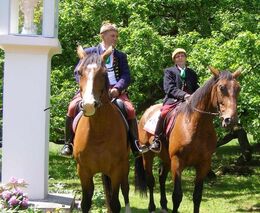 Líbivá, ale prázdná slova nestačí