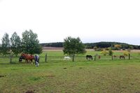 ASZ Plzeň-sever - Selská perla západních Čech