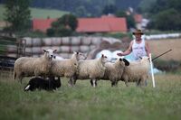 Vaněčkův statek – Cherchez la femme aneb Za vším hledej ženu
