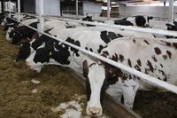 ASZ Příbram – Tradiční selské rody v moderním pojetí