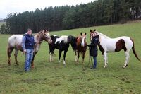 ASZ Příbram – Tradiční selské rody v moderním pojetí