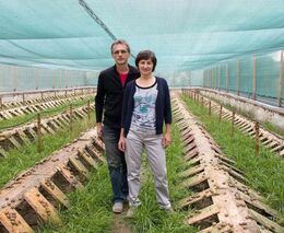 Šneci z Rybníčku: Obnovení tradice se vším všudy