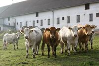 ASZ Krnovsko a Opavsko - Mladý region s nevšedními úspěchy   