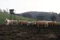 ASZ Krnovsko a Opavsko - Mladý region s nevšedními úspěchy   