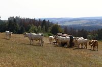 ASZ Třebíč - Sedláci každým coulem