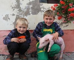 Zvíře nám dává to nejcennější, svůj život. Prožít by ho mělo kvalitně, shodnou se farmáři