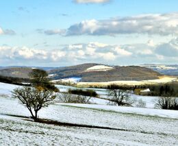 ASZ Rychnov nad Kněžnou 