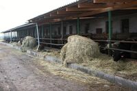 ASZ Rychnov nad Kněžnou – Rozmanitost pozitivem i negativem  
