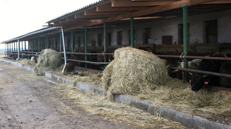 Ze záhumenku k prosperujícímu hospodářství  