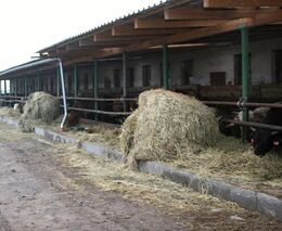 Ze záhumenku k prosperujícímu hospodářství  