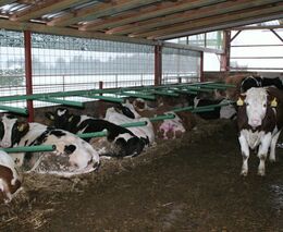 Další kapitola farmy s úctyhodnou historií 