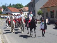 Sbor Selských jízd Jana Žižky z Trocnova - Tradice, která nekončí