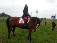 Sbor Selských jízd Jana Žižky z Trocnova - Tradice, která nekončí