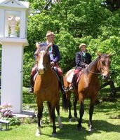 Sbor Selských jízd Jana Žižky z Trocnova - Tradice, která nekončí