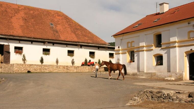 Farmářské slavnosti pokračují. Tentokrát opanují koňské stáje.