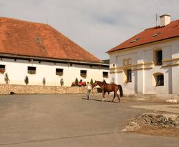 Farmářské slavnosti pokračují. Tentokrát opanují koňské stáje.