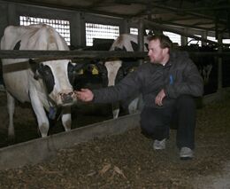 Nejmodernější roboti se starají o krávy v malém rodinném kravíně v Radimi nedaleko Jičína