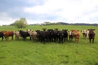 ASZ Svitavy, Ústí nad Orlicí - Různá hospodářství, společná řeč II.