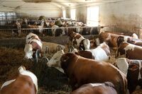 ASZ Svitavy, Ústí nad Orlicí - Různá hospodářství, společná řeč II.