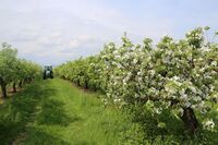 ASZ Svitavy, Ústí nad Orlicí - Různá hospodářství, společná řeč II.