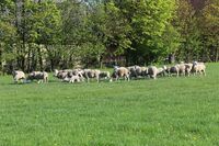 ASZ Svitavy, Ústí nad Orlicí - Různá hospodářství, společná řeč II.