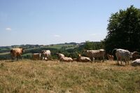 ASZ Tábor - Celý svět v jednom regionu 