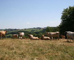 K redefinici LFA oblastí - rozhovor pro zpravodajský web ČT24