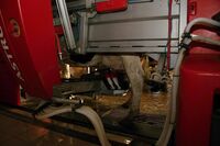 ASZ Tábor - Celý svět v jednom regionu 