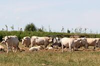 ASZ Tábor - Celý svět v jednom regionu 