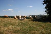 ASZ Tábor - Celý svět v jednom regionu 