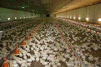 ASZ Tábor - Celý svět v jednom regionu 