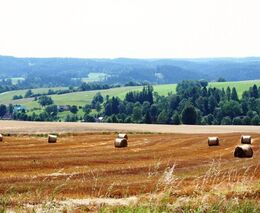 ASZ Trutnov aneb Mladá generace určila regionu nový směr  