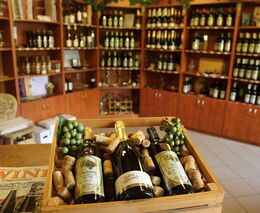 Videorozhovor: Sliby - chyby aneb novela vinařského zákona dva roky poté