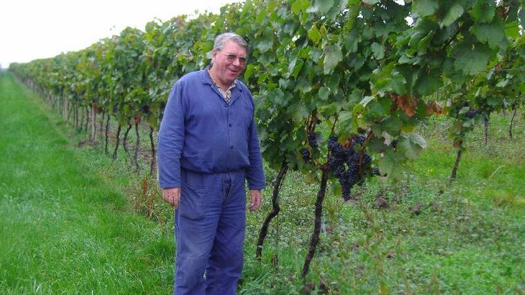 Vinařství, ve kterém réva roste pod lékařským dohledem
