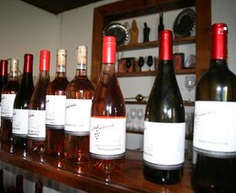 Kupujte víno s „příjmením“, doporučují naši vinaři