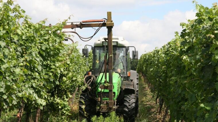 Ohně nad vinicemi připomínaly bitvu, říká vinař po mrazivé noci 