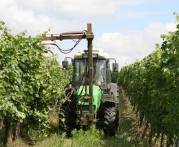 Ohně nad vinicemi připomínaly bitvu, říká vinař po mrazivé noci 