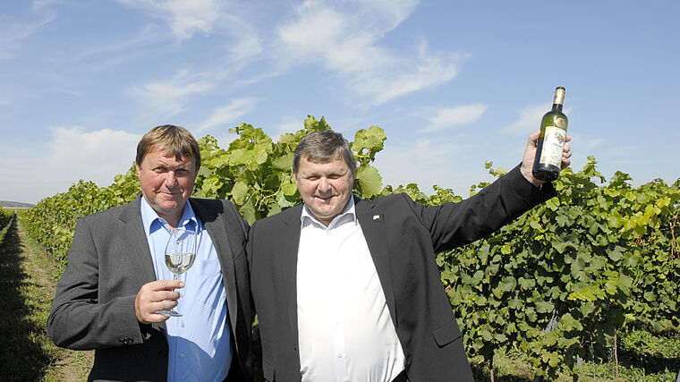 Světu kraluje bílý cabernet z Moravy
