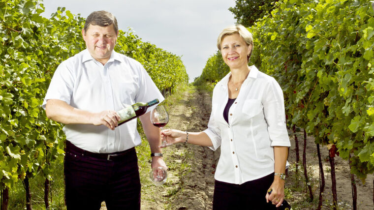 Nejlepší Chardonnay na světě pochází z obce na Břeclavsku
