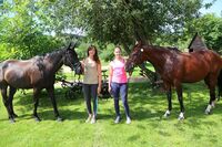 Farma Jiřičná – páté místo ve Farmě roku 2014
