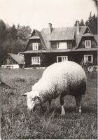 ASZ Vsetín - Kde končí chleba a začíná kamení