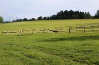 ASZ Vsetín - Kde končí chleba a začíná kamení