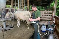 ASZ Vsetín - Kde končí chleba a začíná kamení